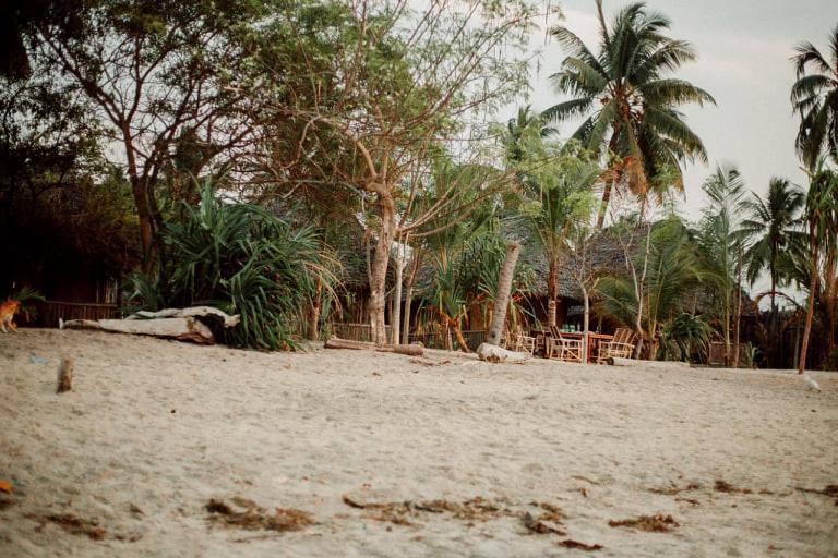Ushongo Beach Bandas Pangani Екстериор снимка