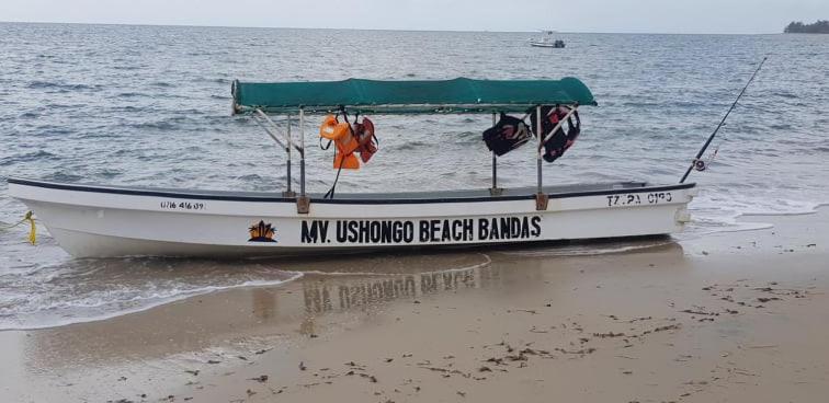 Ushongo Beach Bandas Pangani Екстериор снимка